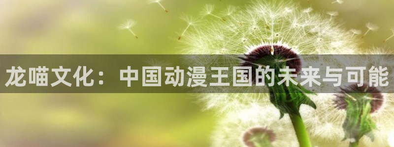 极悦娱乐：龙喵文化：中国动漫王国的未来与可能