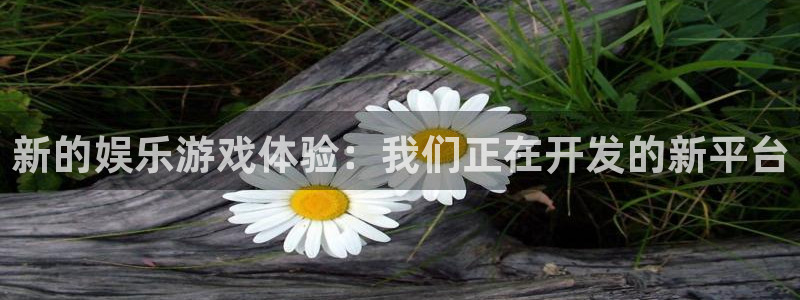 舒克极悦：新的娱乐游戏体验：我们正在开发的新平台