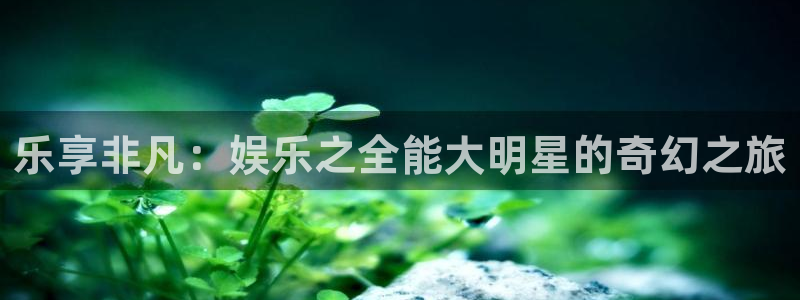 极悦官方网：乐享非凡：娱乐之全能大明星的奇幻之旅
