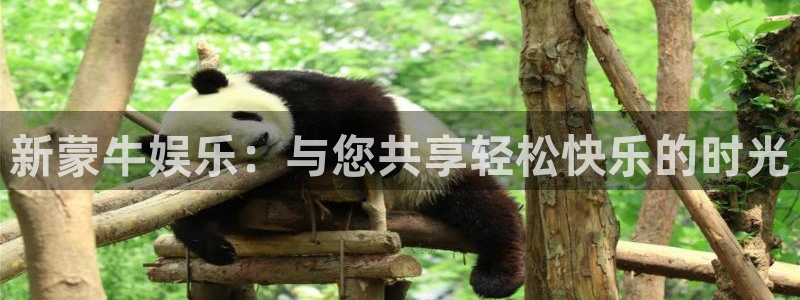 极悦注册：新蒙牛娱乐：与您共享轻松快乐的时光