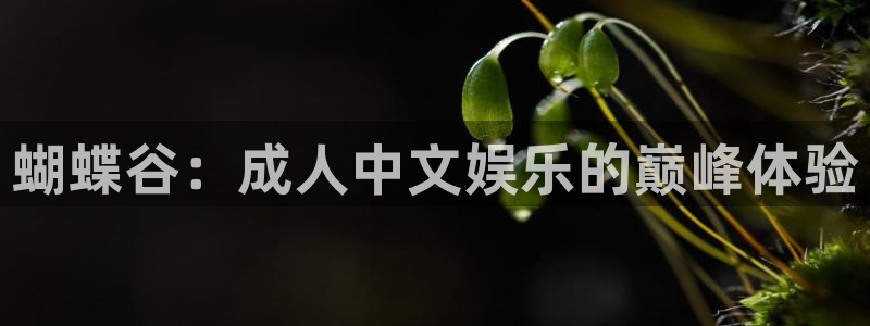 极悦注册：蝴蝶谷：成人中文娱乐的巅峰体验