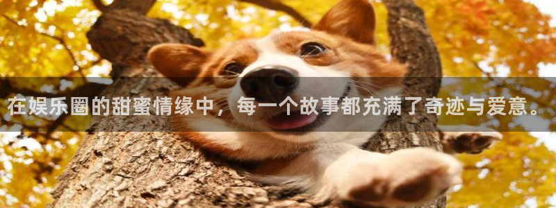 舒客极悦