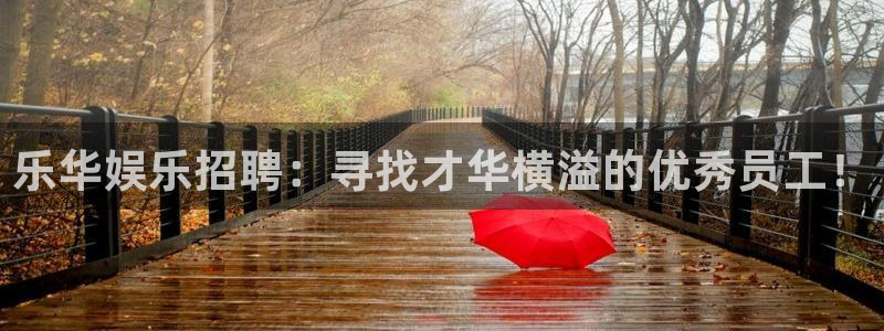 极悦注册