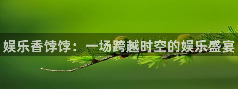 舒克极悦：娱乐香饽饽：一场跨越时空的娱乐盛宴