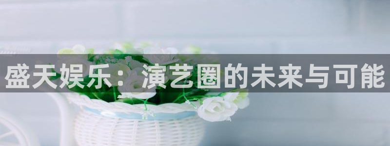 极悦平台注册：盛天娱乐：演艺圈的未来与可能